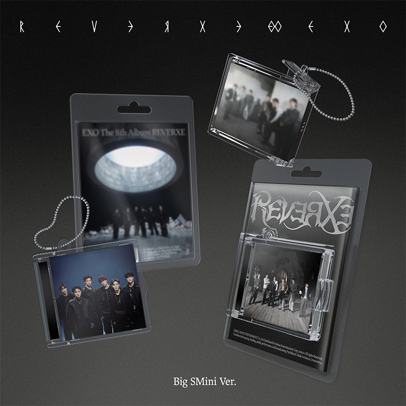 Big SMini Ver. PACKSHOT (2�탉���_��)