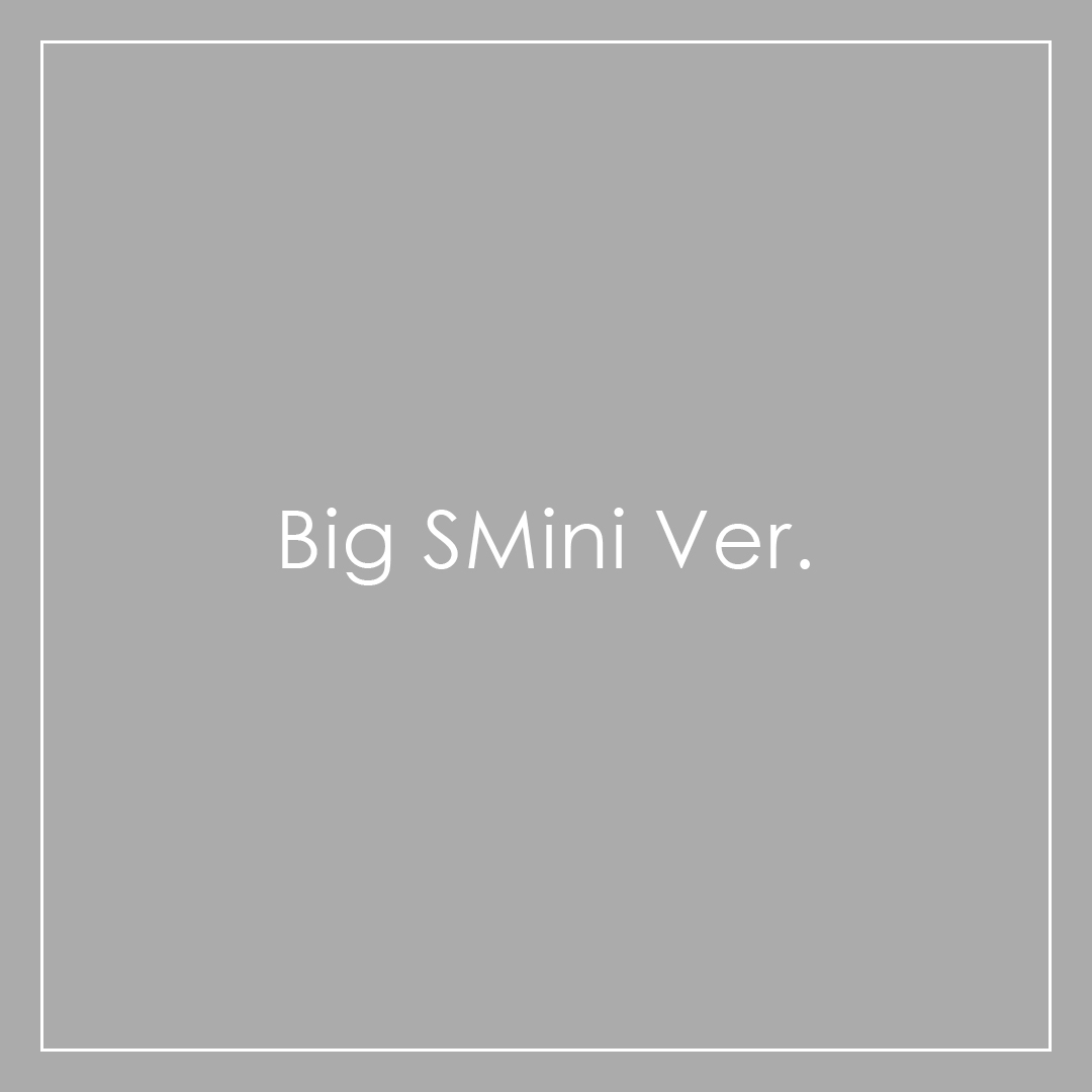 Big SMini Ver.
