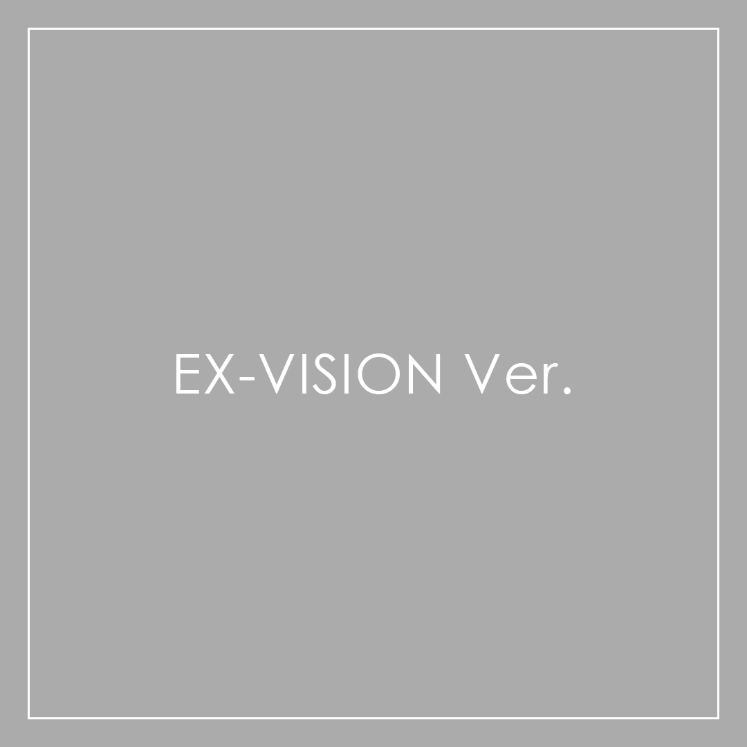 EX-VISION Ver.