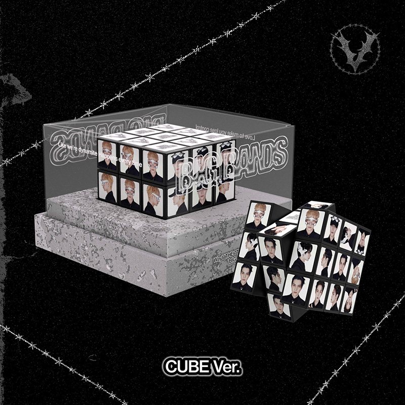 WayV BIG BANDS ポップアップ トートバッグ バッグ（フェリシモ